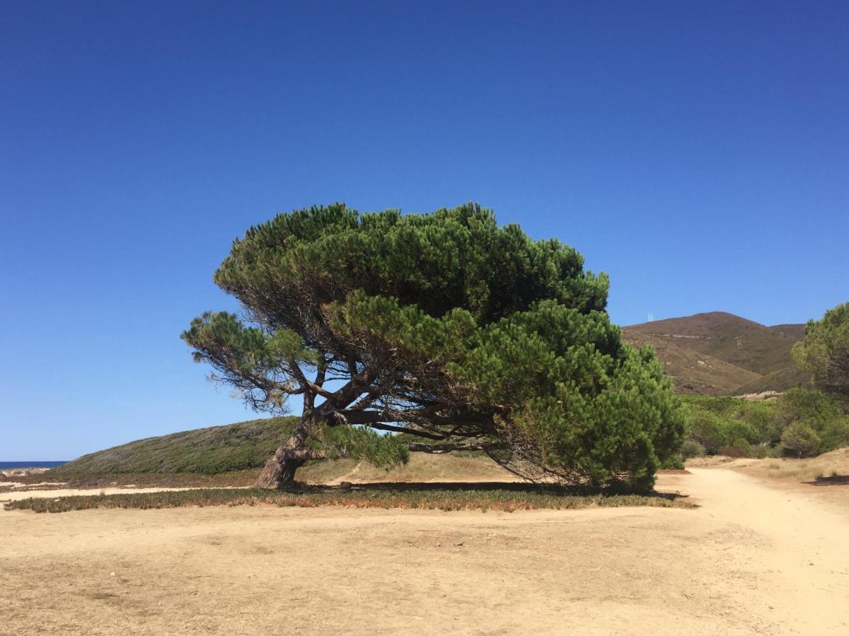 Villa Grand Confort A 500M De La Plage De Lozari Palasca  Eksteriør billede